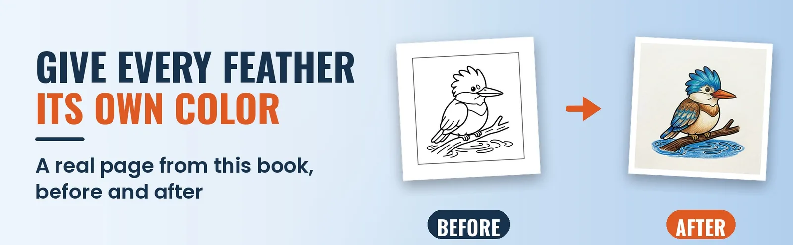 A blank kingfisher coloring page beside the same page colored in blue and orange over water.