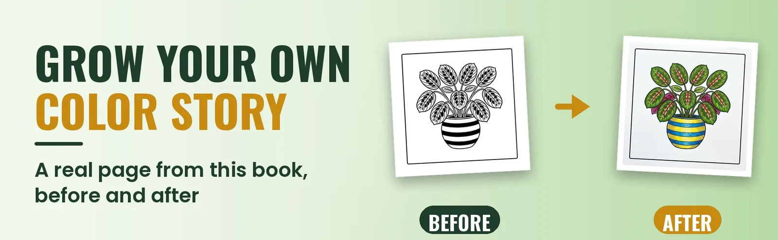 A blank potted plant coloring page beside the same page colored green with a striped pot.