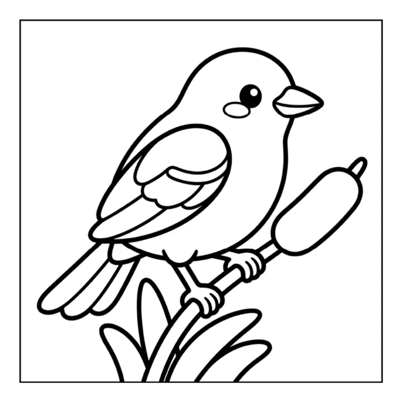 Sample page 1 from Backyard Birding