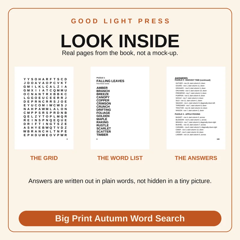 Sample page 2 from Big Print Autumn Word Search