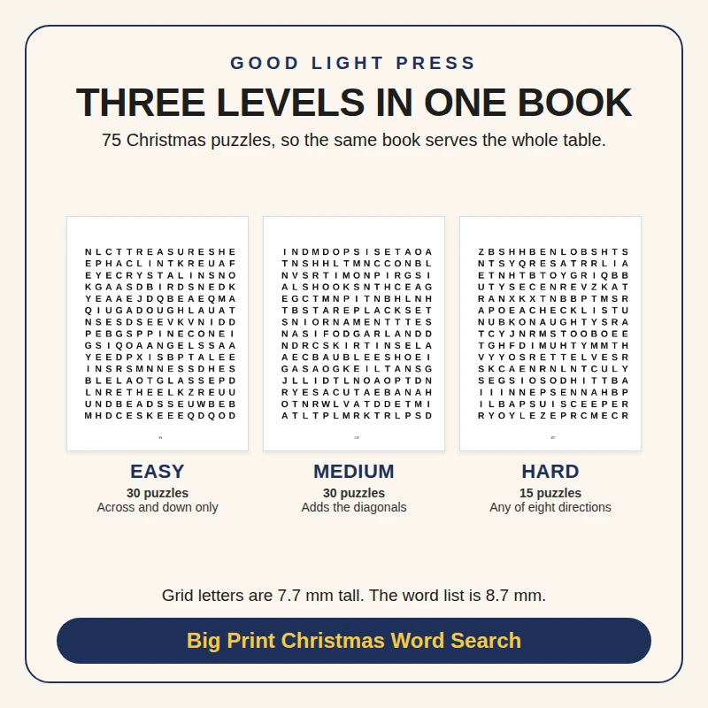 Sample page 3 from Big Print Christmas Word Search