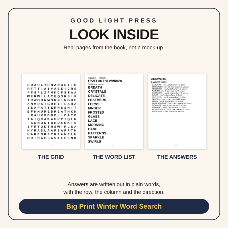 Sample page 2 from Big Print Winter Word Search