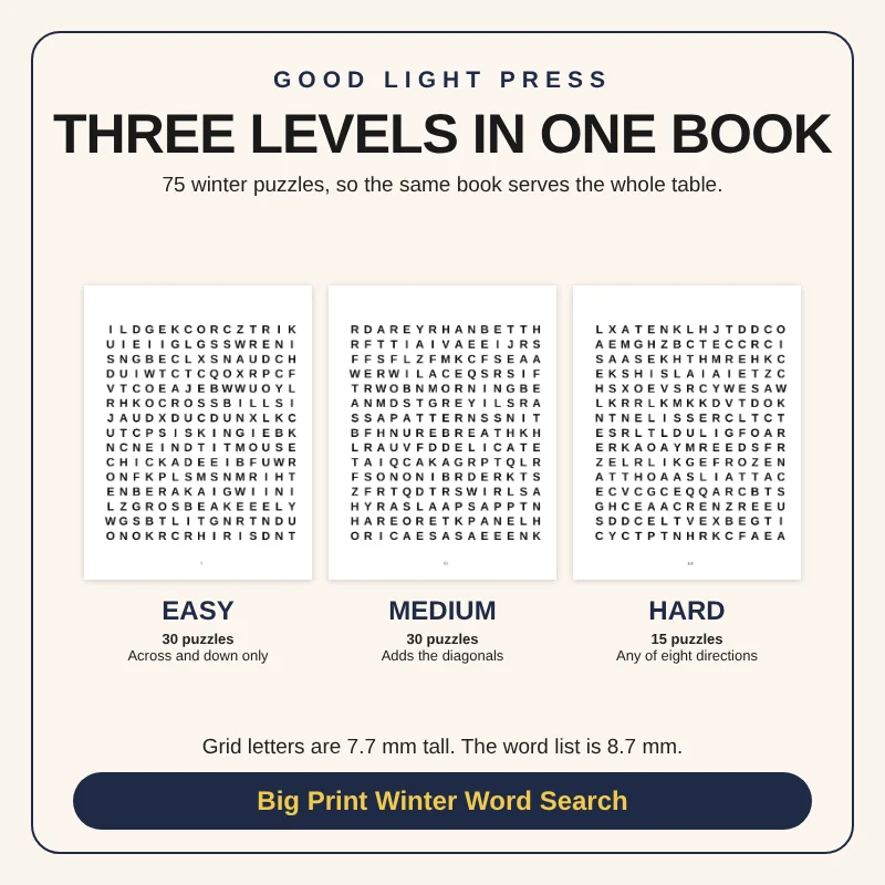 Sample page 3 from Big Print Winter Word Search